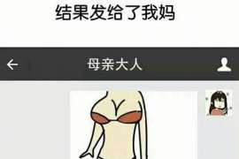 黄浦侦探取证：夫妻共有财产分割原则